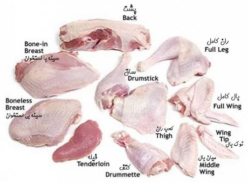 فروش گوشت بوقلمون  - تهران