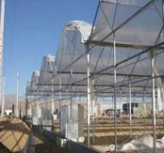 ساخت گلخانه  گلخانه سازی  گلخانه گلخانه اسپانیای  - تهران