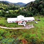 اقامتگاه بوم گردی گیلگمش 