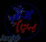 ترجمه تخصصی 