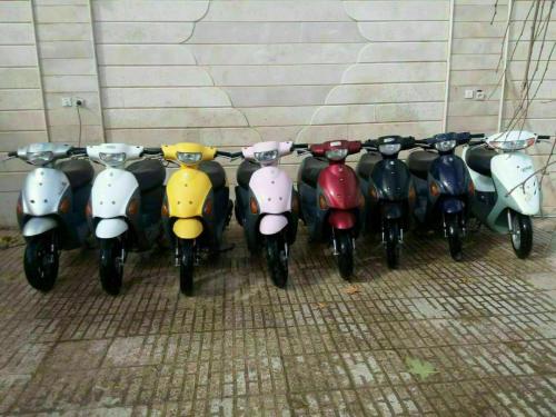 فروش انواع مدل موتورهای پاکشتی وکلیه لوازم 