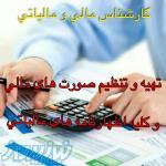 خدمات مالی و مالیاتی
