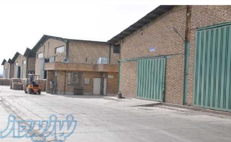 فروش ویژه آنتی اکسیدانت1076