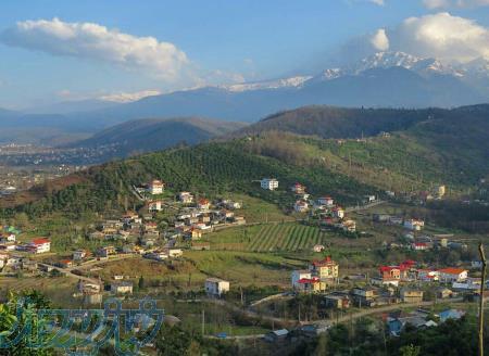 فروش زمین فوق العاده شمال جاده 2000 سیاهگل چال 