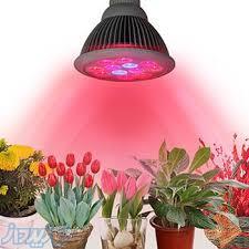 فروش انواع لامپ LED برای رشد گل و گیاه و فوتوسنتز