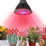 فروش انواع لامپ LED برای رشد گل و گیاه و فوتوسنتز