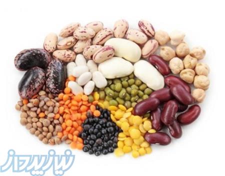 فروش عمده حبوبات،غلات،خشکبار سراسر کشور