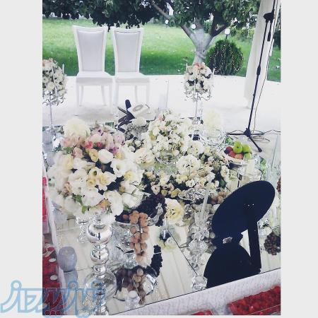 سفره عقد شاین 