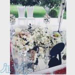 سفره عقد شاین 