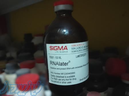 فروش محلول محافظت کننده RNA یا RNA later  محصول شرکت سیگما sigma