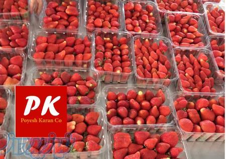 دستگاه سورت و بسته بندی میوه و سبزیجات تازه