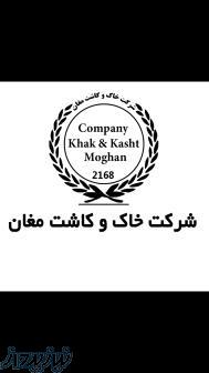 فروش بذر ذرت 