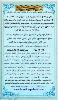 سرمایه گذاری اینترنتی و کسب درآمد از اینترنت با سود عالی و تضمینی 