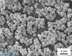 فروش نانو پودر کربید تنگستن، نانو اکسید زیرکونیوم، نانو کربید سیلیسیوم، نانو کربید تنگستن