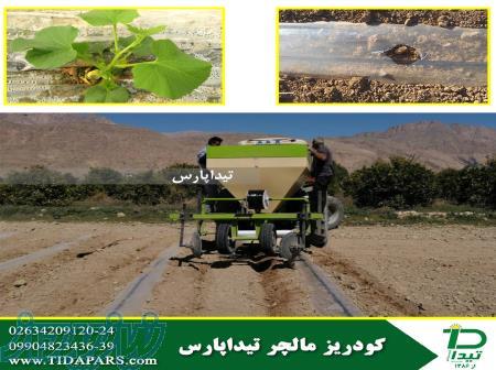 کودیز مالچر