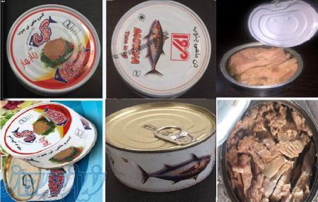 عرضه_مستقیم_عمده و جزئی_تن_ماهی_مروا و نگین چابهار 