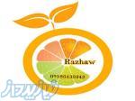 فروش انواع میوه خشک