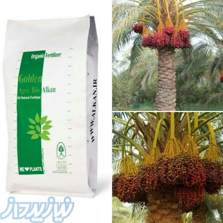 آلکان ( فروش ویژه آگرو بیو آلکان طلایی ) 