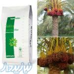 آلکان ( فروش ویژه آگرو بیو آلکان طلایی ) 