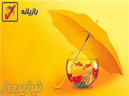 وب سایت فروش بیمه نامه آنلاین رازیانه