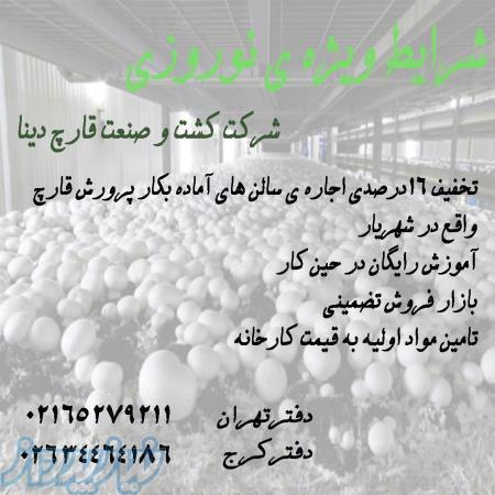 اجاره سالنهای پرورش قارچ