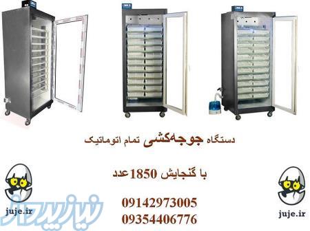 فروش ماشین جوجه کشی مرغ، 1850 تایی 