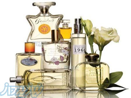 فروش انواع ادکلن زنانه و مردانه 