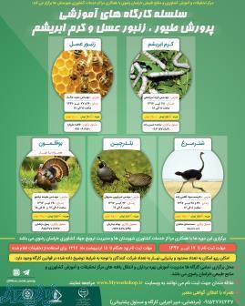 کارگاه آموزشی پرورش طیور،زنبور عسل و کرم ابریشم 