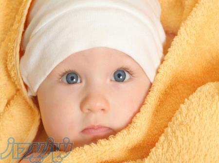 منزل ویلایی رهن کامل جهت تاسیس مهد کودک در فردیس کرج