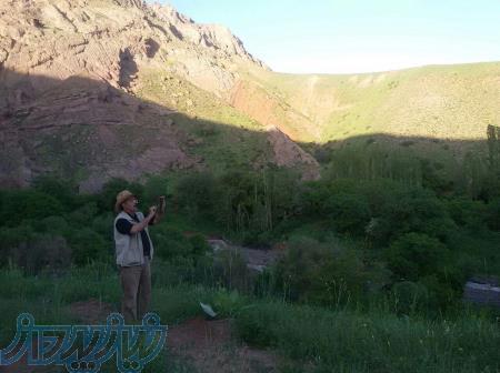 فروش عسل طبیعی 