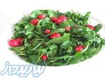 عنوان:سبزی خوردن پاک شده و آماده مصرف(شرکتی) 