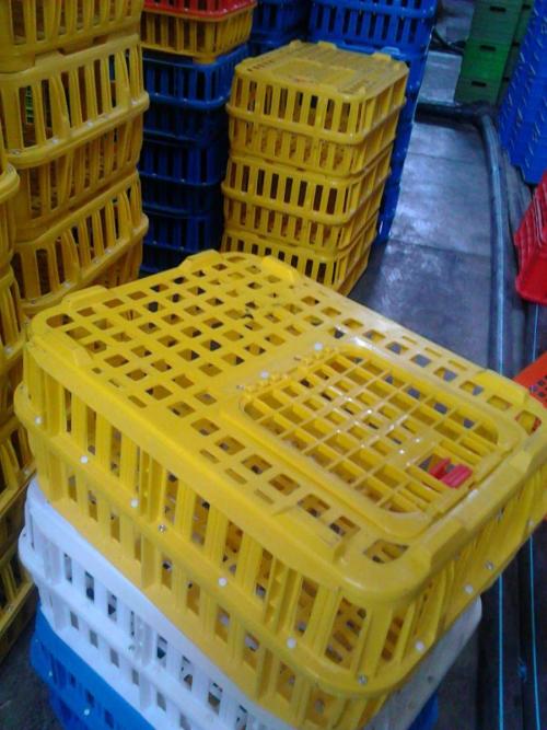 قفس  طرح پلاستیران  - تهران