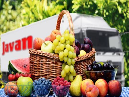 صادرات میوه و خشکبار به ارمنستان و گرجستان 