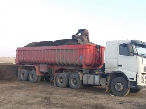 سبک دانه قروه  - تهران