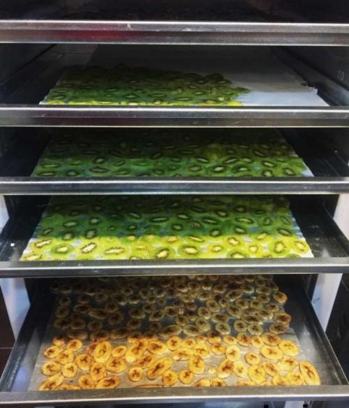 خشک کن میوه خانگی و صنعتی (الو  سیب زرد الو سبزی)  - تهران