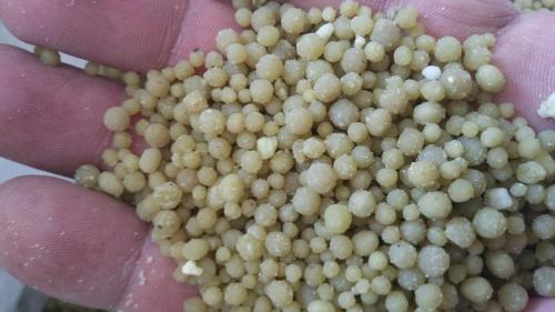 انواع کودهای کشاورزی  - یزد