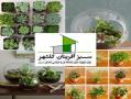 فروش گل و گیاه و تولیدات گلخانه ای09124636057)  - تهران