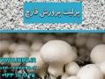 پرلیت پرورش قارچ  - تهران