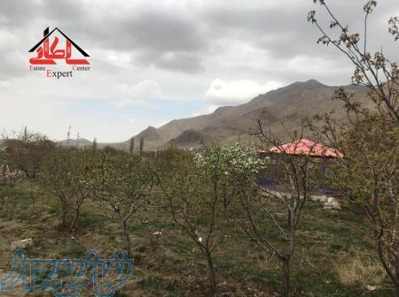 باغ فروشی در آیینه ورزان 