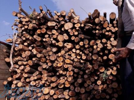 خريدار انواع چوب 