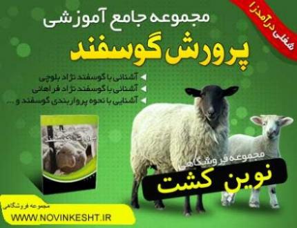اموزش صفر تا صد پرورش گوسفند بهمراه کتاب و dvd  - تهران