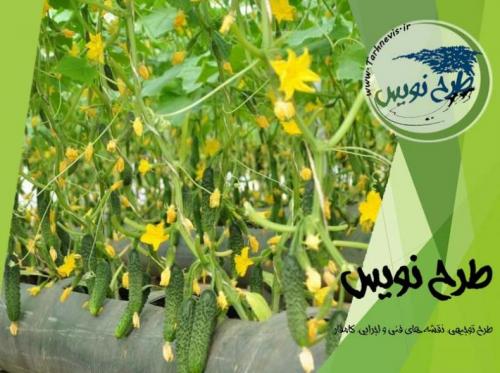 طرح توجیهی گلخانه هیدروپونیک خیار  - کرج