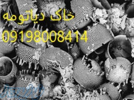 مرکز فروش خاک دیاتومه 