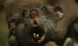 فروش ویژه دستگاه دفع حیوانات و حشرات  - تهران