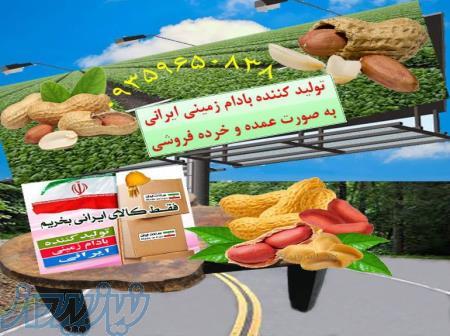 تولید کننده بادام زمینی ایرانی 
