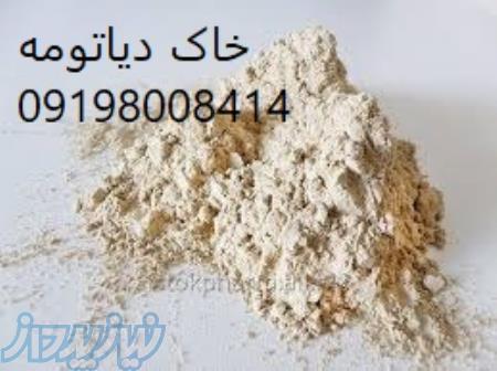 قیمت خاک های دیاتومه 
