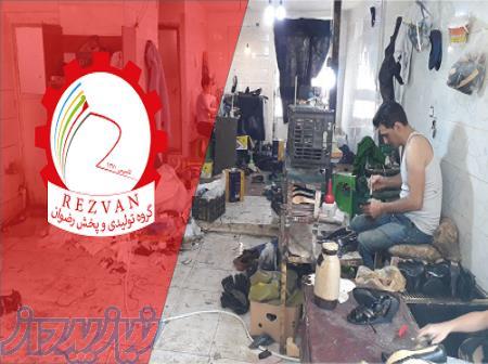 تولیدی کفش I گروه تولیدی کفش ارزان قیمت I تنوع بیش از 500 محصول کفش 