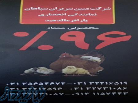 فرمالین خشک (پارافرمالدئید) 