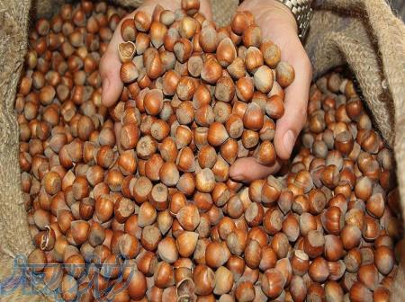 فروش فندق ایرانی 