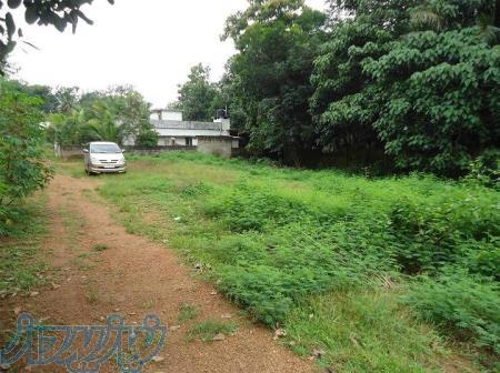 زمین کشاورزی مناسب وام 